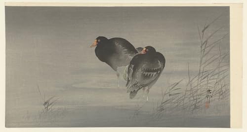 Tableaux Peinture sur Toile Tamme Whole in Rain Ohara Koson contre murs vides