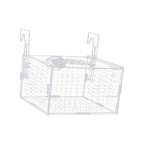 FABLOFT Aquarium Isolation Box Clear Aquarium Supply for Aggressive fish babies prawn 15x10x10cm and hook Deal
