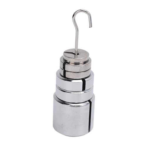 Slotted Mass Set with Hanger, Chrome Plated Steel Accurate 200g 50g 20g 10g Slotted Weights, Portable Labs Mass and Hanger Set with Storage Box for Classroom Research