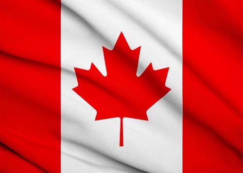 Drapeau Canada tissu feuille d'érable fond photographique patriotique rouge blanc 3x2m