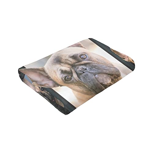 Small Lovely Dog French Bulldog Ultra-Soft Throw Blanket Home Decorative Blanket For Living Room Bed Sofa #TOP6
