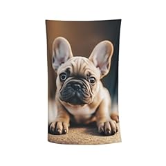 French Bulldog 01