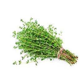 Sementes de Tomilho Topseed Garden 1g BLUE LINE