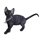 Figura escala: 1/6 escala de animales coleccionables, resina segura pintada a mano, puede mantenerse sola o como decoración. Product Include: Cat Figurine×1, JXK Exclusive necklace×1.