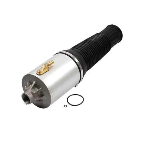 Suspensions pneumatiques avant pour Audi A8 D3 S8 Quattro 2002-2010