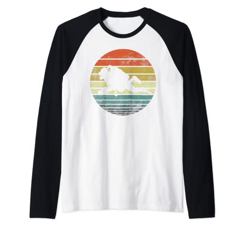 Divertido Diver Gifts Retro Sunset Buceo Coach Buceo Camiseta Manga Raglan