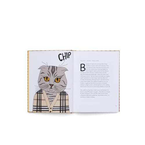 Blue chip confessions chat Claudia Schiffer pour vos moments de lecture cocooning - 4