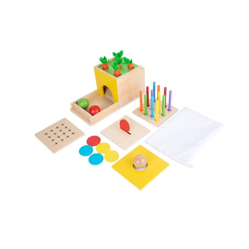 Image of Montessori Toddler Play Kit Montessori Box Toys for 1 Year Old 2 Years Baby Learning Toys Gift Carrot Harvest Game, Matchstick Color Drop Game and Coin Box (5-for-1)