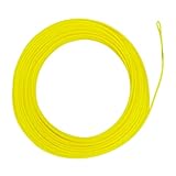 Fly Fishing Floating Line with Welded Loop Weight Forward Fly Lines 100FT (WF6F, Lemon Yellow)