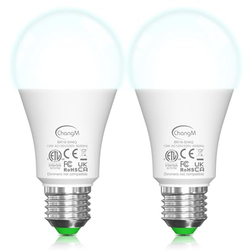 ChangM Lampadina Con Sensore, 13W E27 Lampadina LED con Sensore Crepuscolare Luce Notturna con Automatico Interno/esterno Luce Diurna 4500K, Confezione da 2