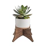 PEKER Plant Stand Indoor, Solid Wood Plant Holder for 5–9 Inch Pots, Low Planter Stand & Plant Riser for Indoor Plants, Stable Pot Stand for Home Decor, Single Wooden Plant Holder