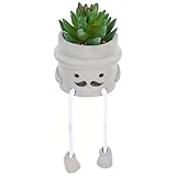  Ornements dans le vase Faux plantes grasses dans des pots en ciment avec jambe suspendue en pot Mini fausses plantes mignonnes jambe suspendue plante succulente bonsaï plante artificielle en pot étagè