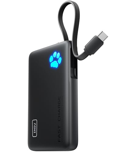 INIU Power Bank 10000 mAh con USB C e Torcia