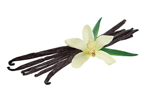LorAnn Organic Madagascar Vanilla Bean Paste, 4 ounce - Thumbnail 4