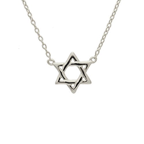 apop nyc Sterling Silver Star of David Pendant Necklace 16 inch [Jewelry]