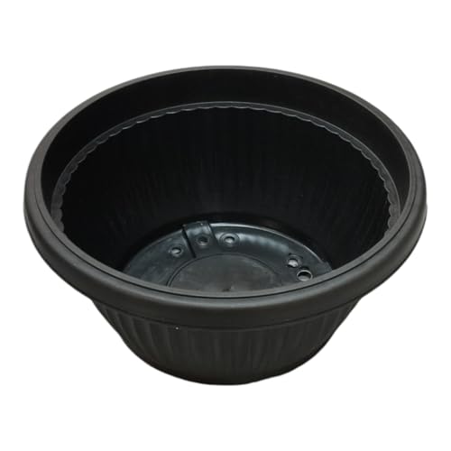 Image of Harshdeep Bonsai Pot - Bello Bowl - Indoor Outdoor Home Balcony Patio Garden Decorative Round Plastic Recyclable Planters Set of 4 (Black)