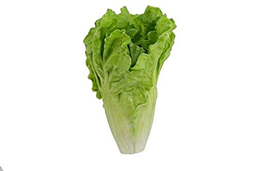Renaissance 2000 85635 6.5 X 4.75 Faux Green Leaf Lettuce 6.5 X 4.75