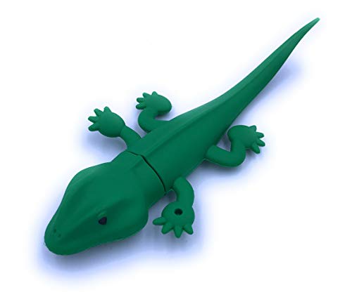 Clé USB 3.0 64 Go salamandre idée cadeau originale pour passionnés
