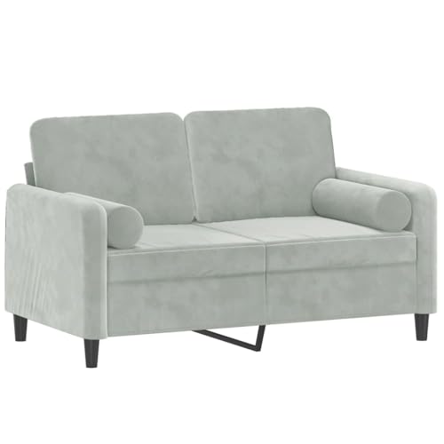 vidaXL Sofá de 2 Plazas con Cojines, Asiento con Respaldo Reposabrazos, Sofá Tapizado de Televisión, Asiento para Salón, Terciopelo Gris Claro
