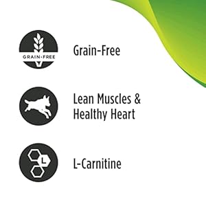 Nulo freestyle small breed grownup moist canned canine meals premium all pure grain free with omega 3  6 for a wholesome coat and excessive animal primarily based protein 5 5 ounce pack of 24   cucciolini doodles