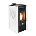 STUFE A PELLET ITALIA Canada 12 KW 5 estrellas Imagen de STUFE A PELLET ITALIA Canada 12 KW 5 estrellas