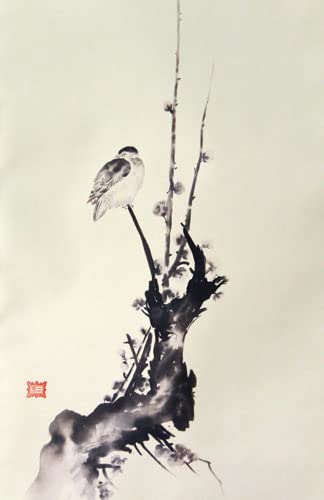 Amazon.co.jp: 掛軸 宮本武蔵 複製画（紅梅鳩図）(掛け軸 尺五立