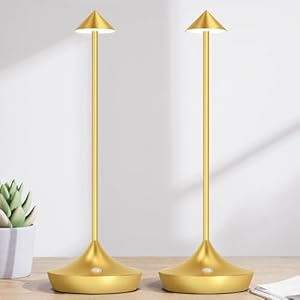 Hapfish Modern Aluminium LED Tischlampe 2er Set