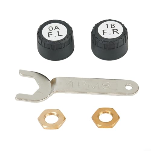 Fauhapyway Système de surveillance de la pression des pneus TPMS de moto avec 2 capteurs externes, étanchéité IP67, contrôle de la pression et de la température, alarme pour une conduite sûre de 0 à 8