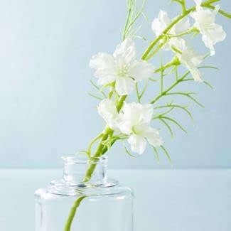 Hearth & Hand with Magnolia Faux White Delphinium Flower Stem Glass Arrangement Set