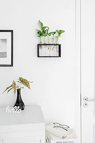 image for Mkono Wall Hanging Plant Propagation Station 5 Tubes with Wooden Stand