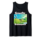 Brewster Cape Cod Massachusetts Old Windmill Bridge Tank Top