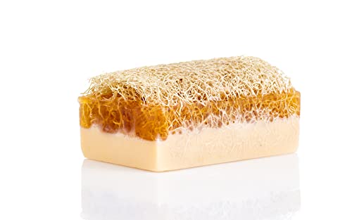 Sabun Co. Donkey Milk Soap With Honey - Natural Exfoliating Loofah Soap Bar - Nourishing, Hydrating, Moisturizing Handmade Soap For Face And Body - Soap With Loofah Inside [4.4 Oz - 125 Gr] #TOP1