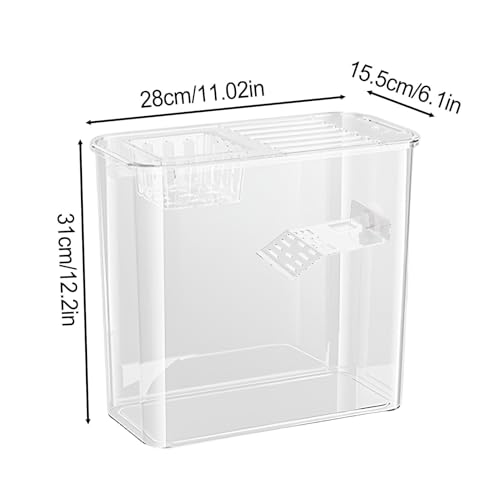 Réservoir de tortue transparent et multifonctionnel avec terrasse - 3