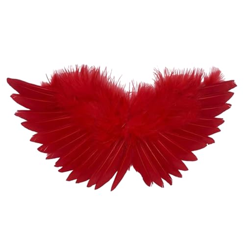 jiingekk Soft Plush Black Costume Accessory, Fun Feather Wing with Comfortable Straps for Parties and Performances