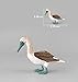Warmtree Simulated Macaws Kingfisher Blue-Footed Booby Model Realistic Plastic Parrot Figurines Bird Action Figure, Set of 6