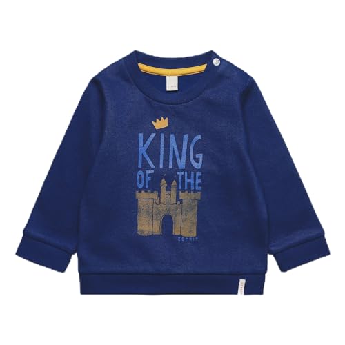Sweat-shirt ESPRIT bébé garçon pull en coton manches longues col rond
