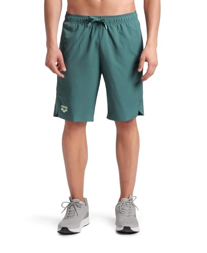 Bermudes Homme arena Panneau D'équipe short de bain de sport gris