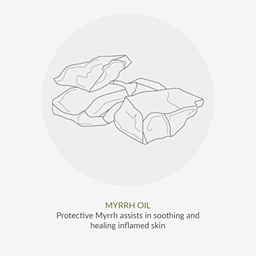 Green People Organic Children Aloe Vera Lotion & After Sun 150ml | Natural, Organic After Sun Lotion for Kids| Hydrating Children’s Body Moisturiser| Featuring Soothing Aloe Vera, Calendula & Myrrh - Image 7