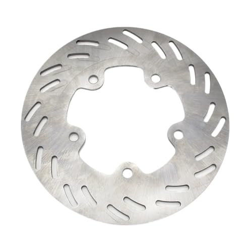 Protection de disque frein avant pour GTS 125 Evo et Joymax LM12W