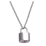 GIVBRO Urnen-Halskette für Haustiere, Einäscherungsschmuck, Schmuck-Stil, Anhänger, Mini-Flasche, Asche, Andenken, Schmuck für Hunde, Katzen, Haustiere, Asche, Silber