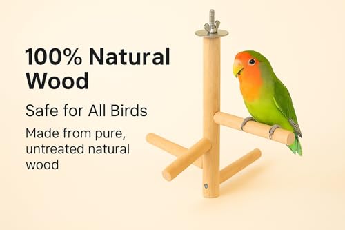 Image of KSK Natural Wood Multi-Branch Bird Perch Stand for Cage | Real Tree Branch Perch for Budgies, Cockatiels, Conures, Lovebirds & Parakeets | Hanging Wooden Bird Cage Accessory for Climbing & Playing