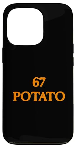 67 ~[|eg 6-7 Ӎ  Jbv X}zP[X iPhone 13 Pro p