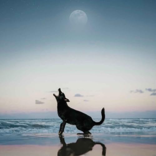 The Human and The Hell Hound