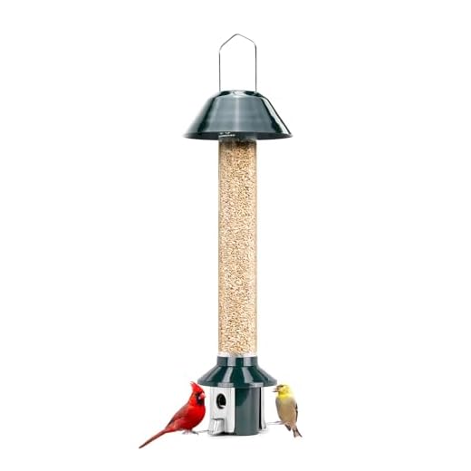 Roamwild Squirrel Proof Wild Bird Feeder Mixed Seed Sunflower Heart Version - GREEN - 3LBS SEED CAPACITY – 20.5”x7.5”x7.5” (w/hanger)