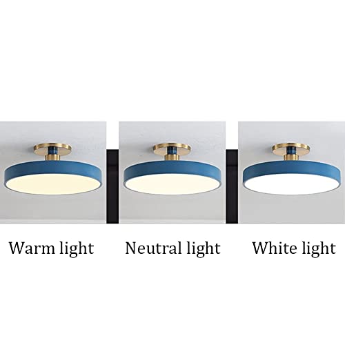 Plafonnier LED rond dimmable en fer forgé et acrylique pour salon - 7