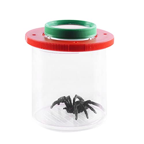 Encuentra la mejor selección de Tienda de insecticidas favoritos de las personas. 27 Littryee observación Insectos,observación Insectos con Jaula Mariposas orugas vivas - Las orugas Ahuecan el contenedor Cultivo araña los Kits Ciencia educativa