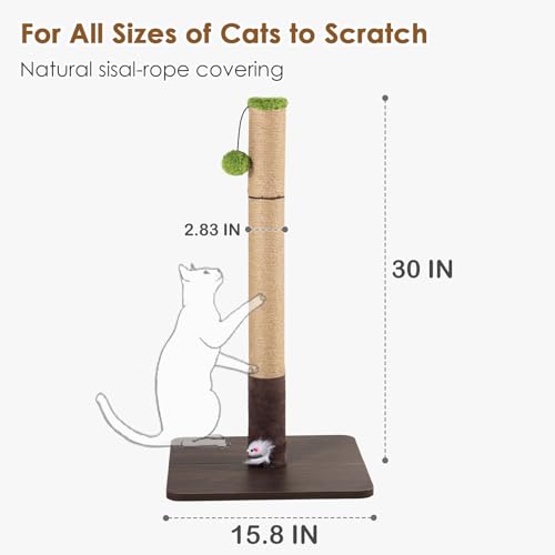 Rascador para Gatos con Base de Madera y Juguetes miniatura 2