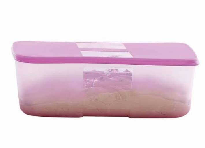 Tupperware Freezer Mate - Confezione da 2 scatole rettangolari con coperchio, 1 L, trasparente, senza BPA, adatta al congelatore, a prova di perdite, stile minimalista