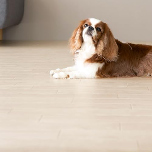 UTOPIE gs[ ybgp NbVtA Ռz ɂ u OK  t[O}bg ^C z \Ă͂ ڒܕsv ~  DIY tH[ ͗lւ ȒP  u~^Cv (CgI[N,