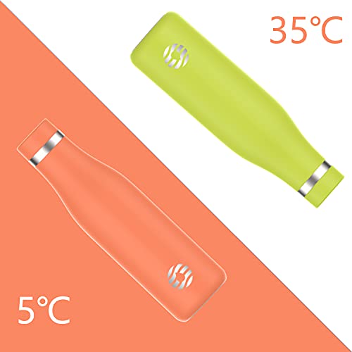 Healter Borraccia termica da 500 ml, Borraccia